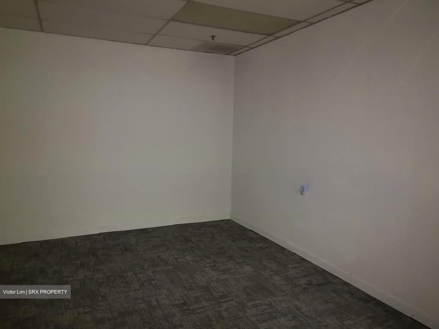 Jalan Besar Plaza (D8), Shop House #594864811
